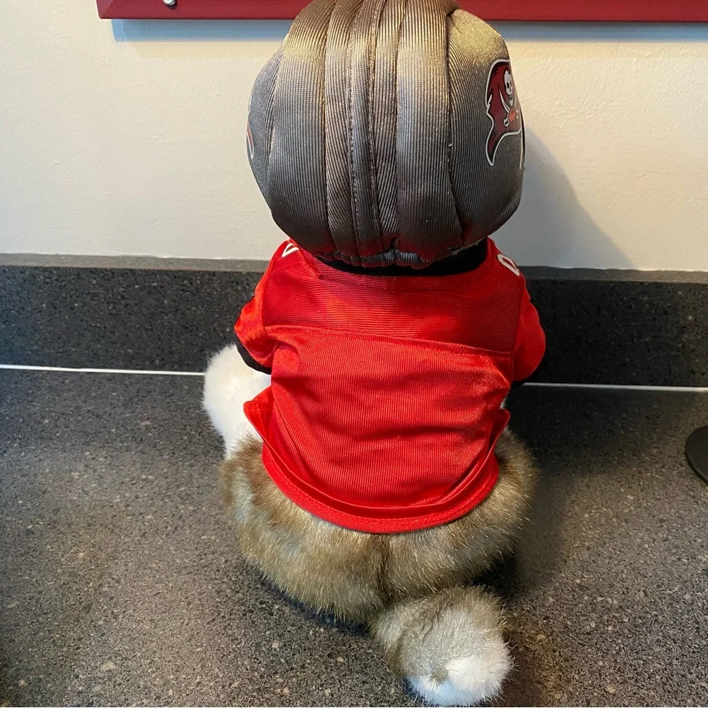 Build A Bear BABW Tampa Bay Buccaneers Football‎ Outfit Husky Dog Plush